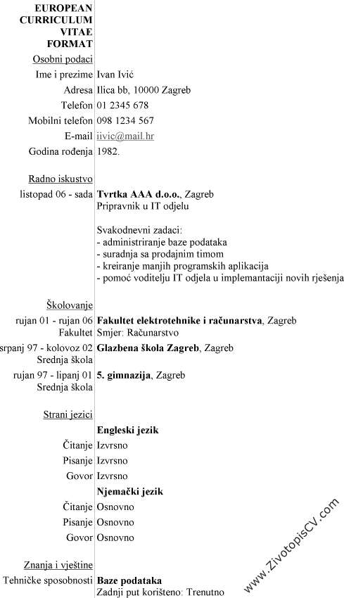 primer biografije Pripravnik u IT sektoru